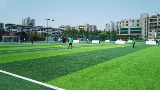 整備された芝のグラウンドでのサッカー